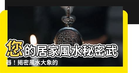 風水大象|【大象 風水】大象風水寶典：揭秘風水象的寓意、擺放與禁。